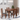#type_4-seater