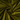 #color_dark-olive-green