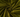 #color_dark-olive-green