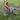 #size_4-seater